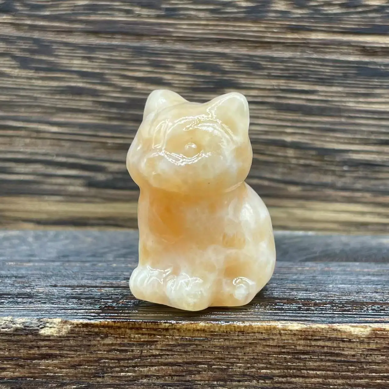 crystal cat (11)