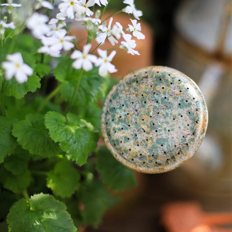 Plant Watering Can Portable Water Tank Garden Waterer Gardening Tools Steel Designs Home Garden