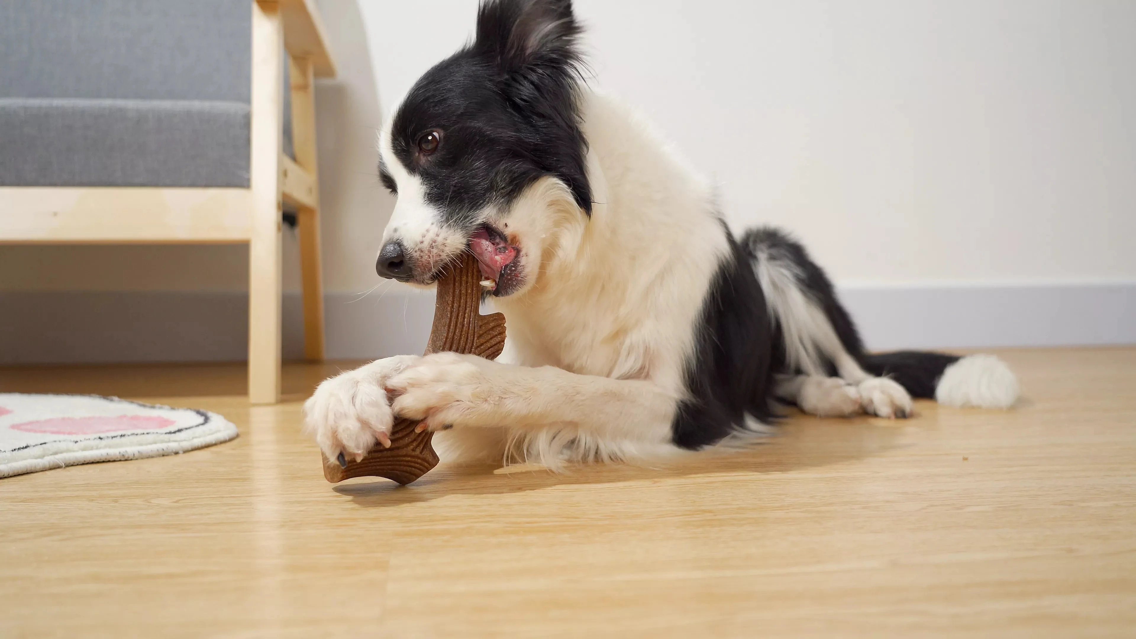 Wholesale New Coffee Wood Puzzle Dog Chew Toys For Pets Aggressive Chewers