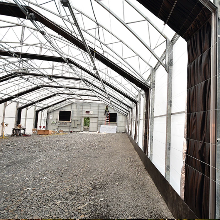 Hemp plants growing inner shading system blackout automatic control light deprivation greenhouse for medical planting