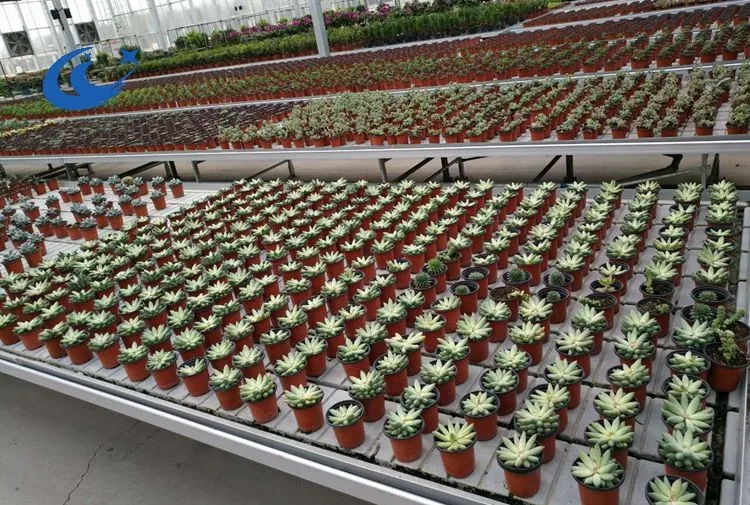 Hydroponic Flood Tray With Rolling Bench