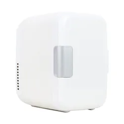 Professional food drinks Cooling N heating machine  can Cooler 4L Car Fridge 220V/12V  beauty cosmetics personal use Mini Fridge