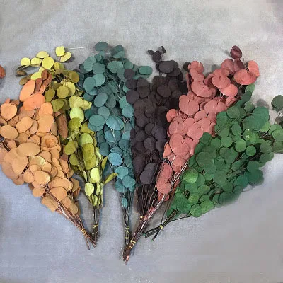 2020 INS самая популярная сохранить букет яблок и листьев, эвкалипта листья для украшения дома