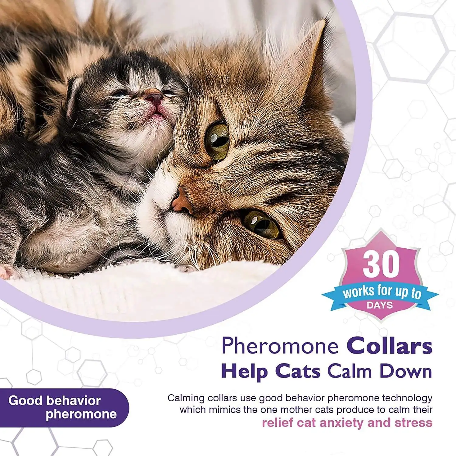 Adjustable cats Calming Pheromones Collar 3 pack reduce anxiety Adjustable Pet Pheromone Calming Collars for Dogs and Cats