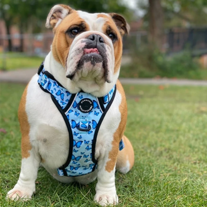 Factory supplier custom logo Reflective Adjustable tough trails Dog harness Vest Soft Padded Mesh No Pull Pet big dog harness