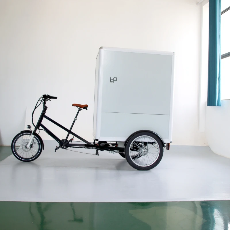 Heavy load cabin cargo Tricycle / closed 3 Wheel Motorcycle Heavy load Cargo Bike Electric bicycles