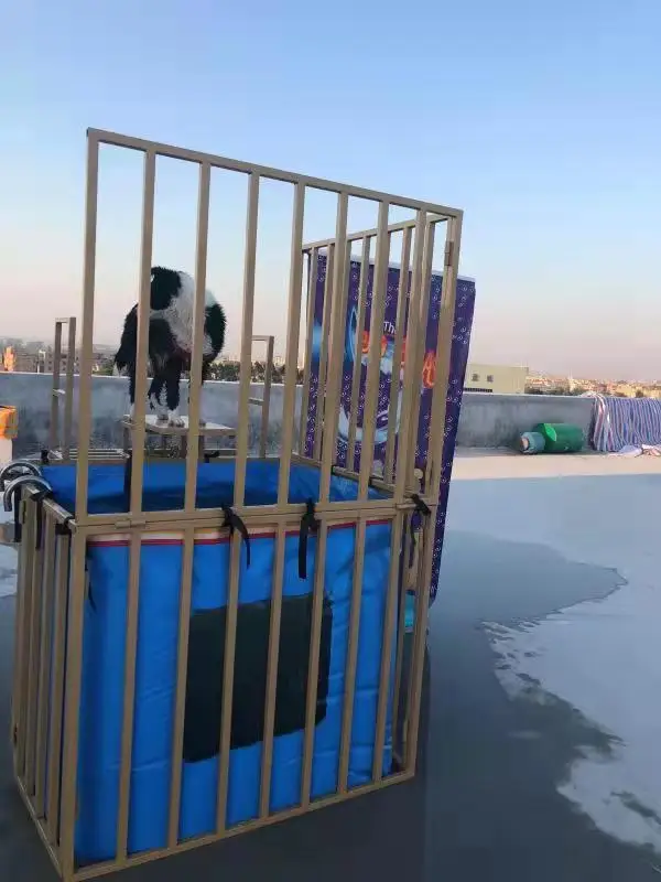 Hot Selling Cheap Inflatable dunk tank Splash Game for Sale dunk tank Water Game