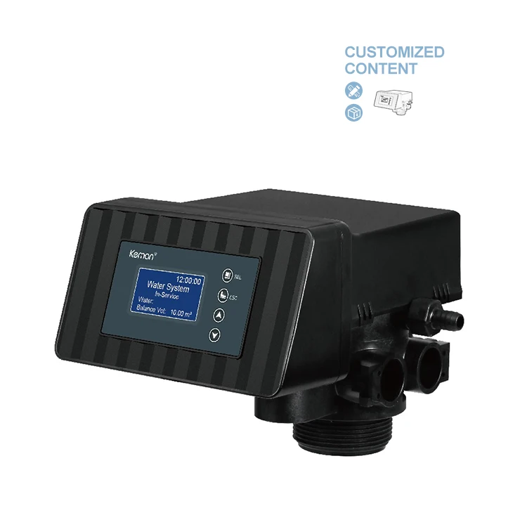 [ASB2-C] Water Treatment System 2m3/h Automatic Time Meter Runxin Double Tank Softener Control Valve