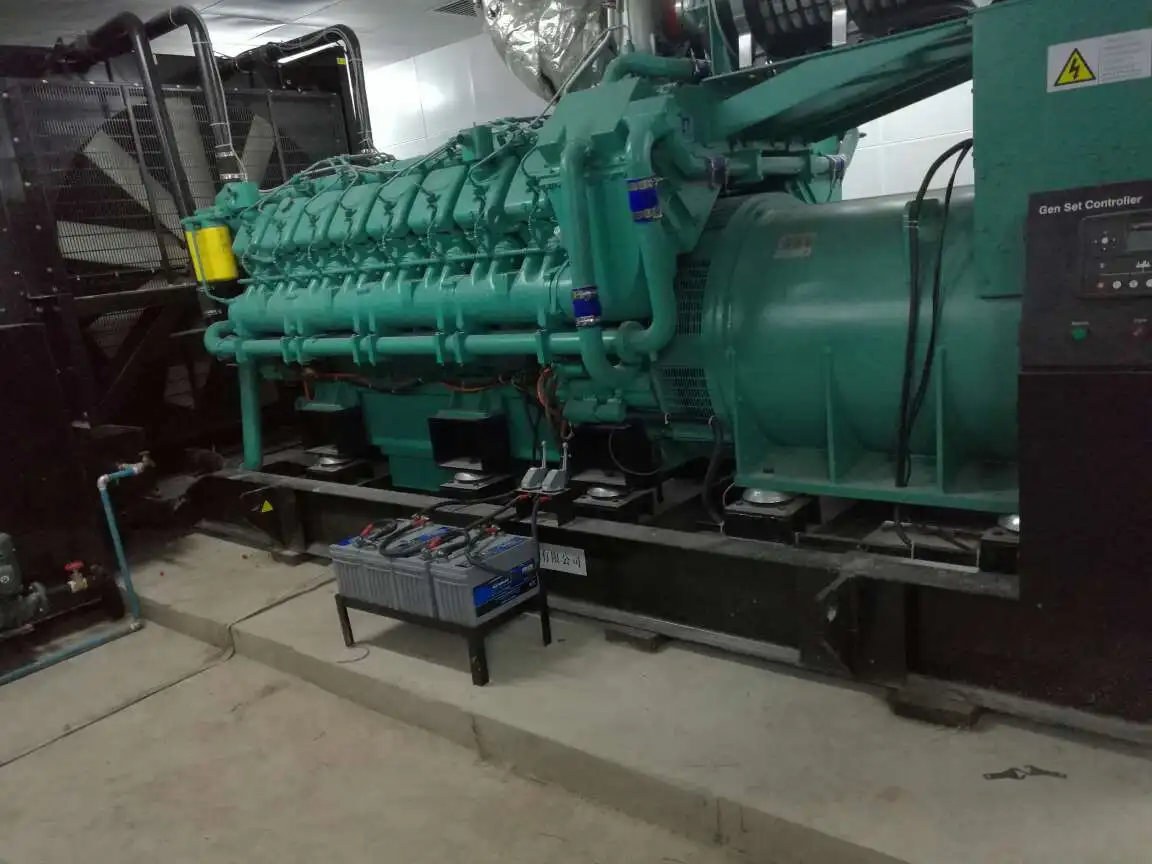 Промышленная электростанция 1250kva параллельный шкаф генератор природного газа 1000 Вт биогазовый