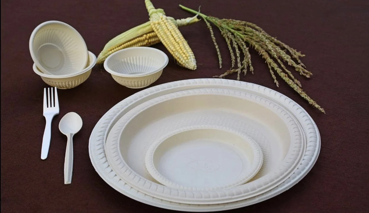 Degradable Starch Food Plate/Food Box/Bowl Making Machine