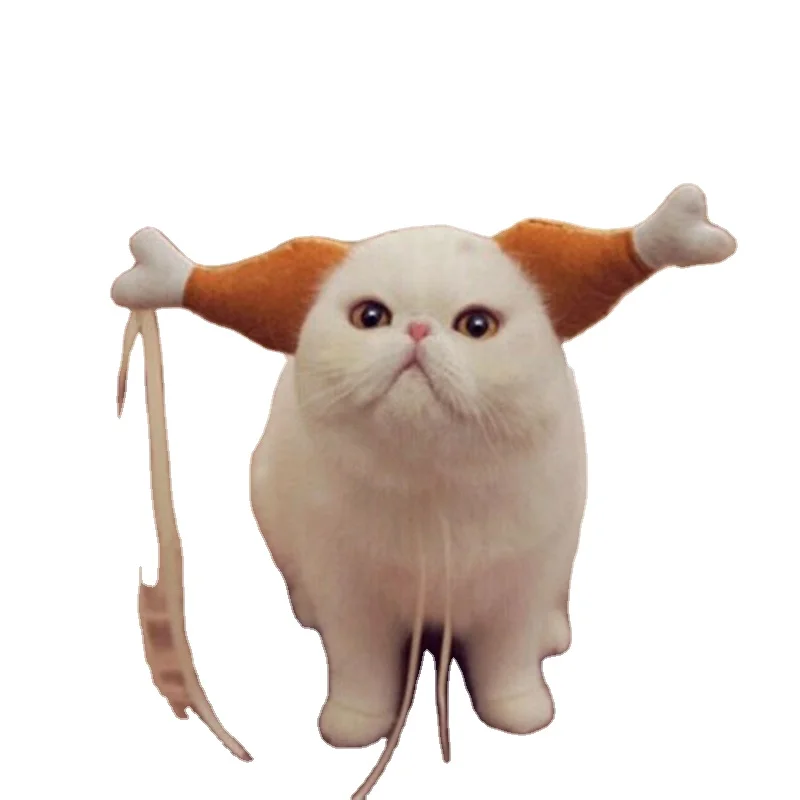 wholesale new design cat hats fashion pet hats for cats