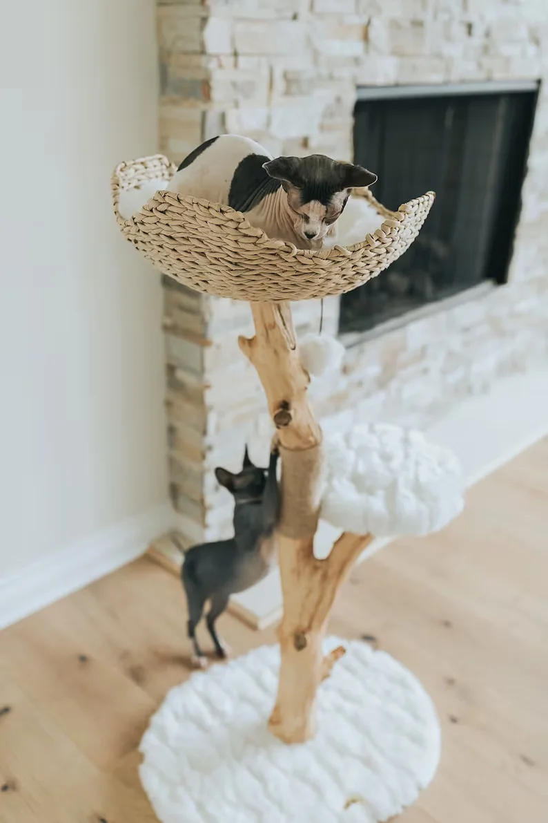 Modern Single Branch Cat Tower Sustainable Wood Cat Condo  Climbing Furniture and Gift for Cat Lovers