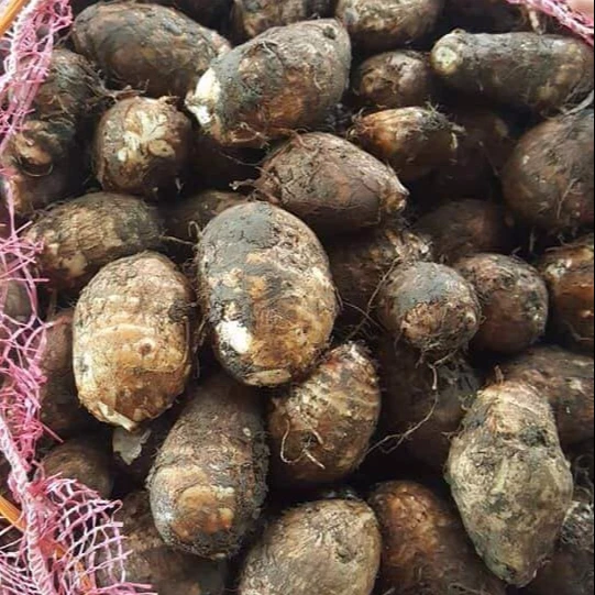 
Fresh Taro Quality Taro-Coco yams-cocoyams-FRESH TARO 40G/60G/80G/100G 