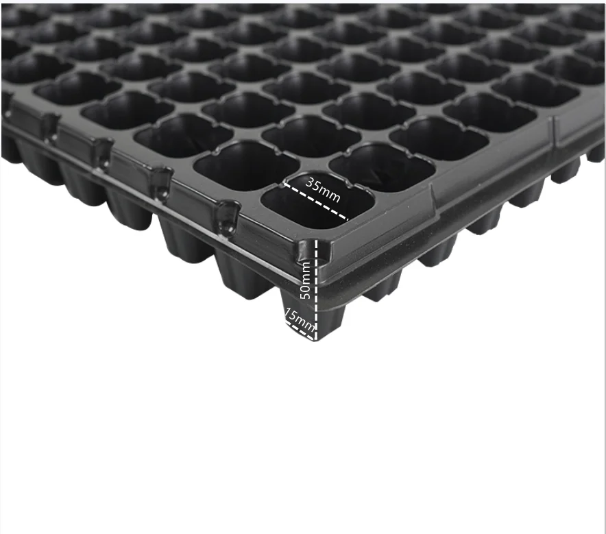 Лоток для рассады лоток растений прорастание семян культура