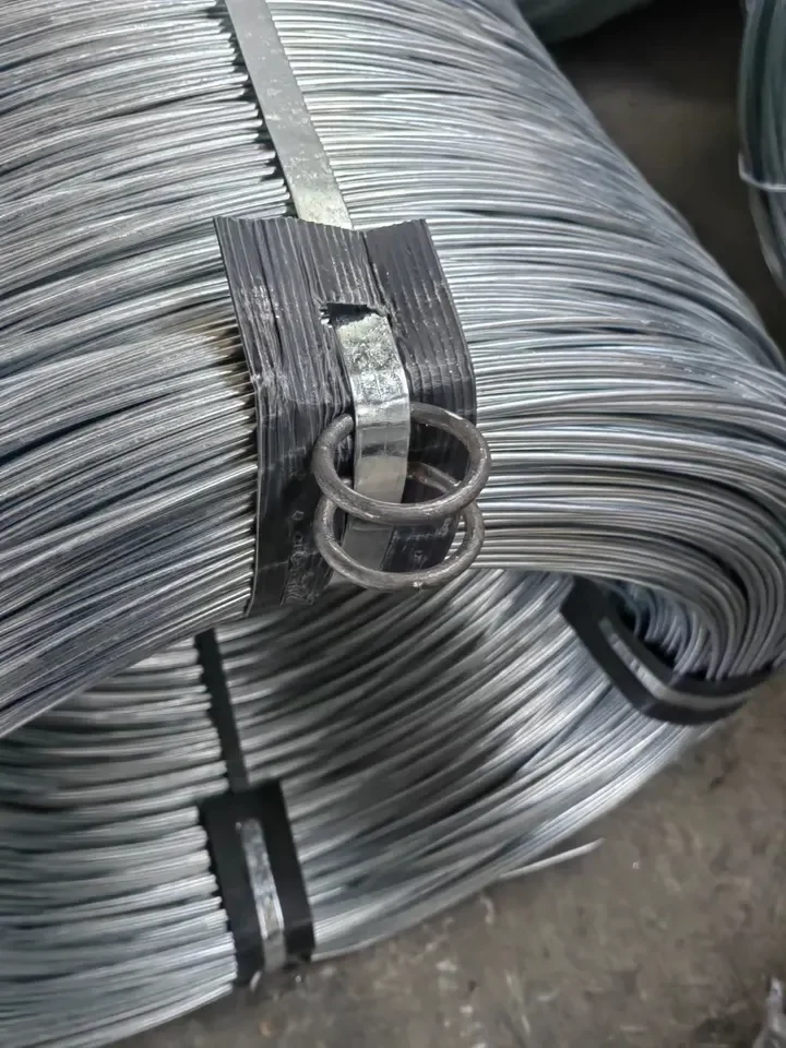 Best Quality Iron Wire Galvanized Binding Wire Competitive Price BWG20 21 22 Galvanized Steel Wires