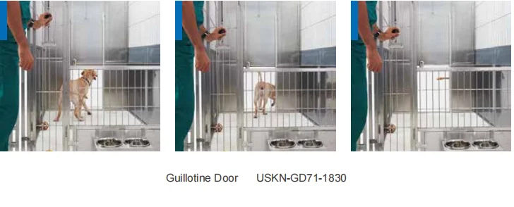 AEOLUS Walk-in kennel system Very Versatile Combinations Cost Effective Big place for pets to live and reduce the stress