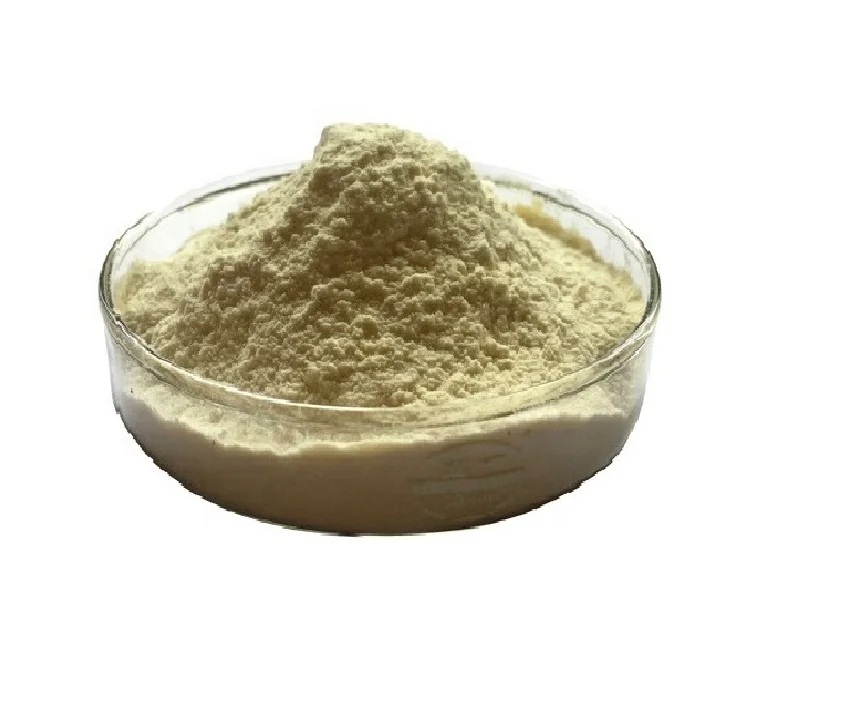 
IP Grade High Activity Pancreatin Powder 