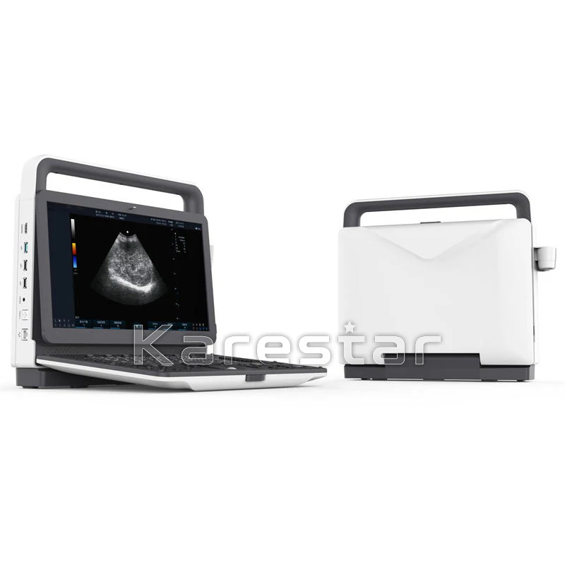 Compete E1V E2V Portable Veterinary 3D 4D Ultrasonido Color Doppler Ultrasound Machine For Sale Portable Ultrasound Color