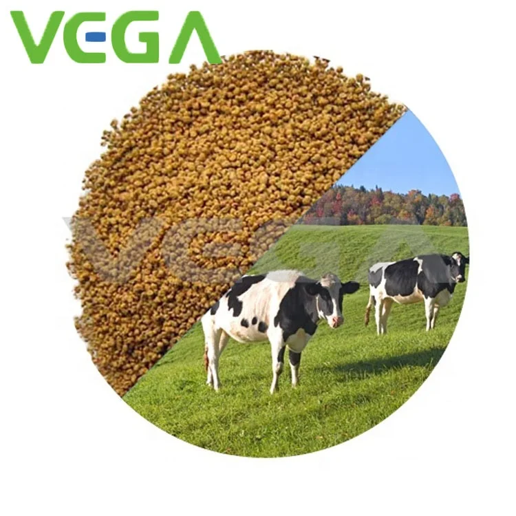 
VEGA China manufacturer feed aminos rumen protected l Lysine 