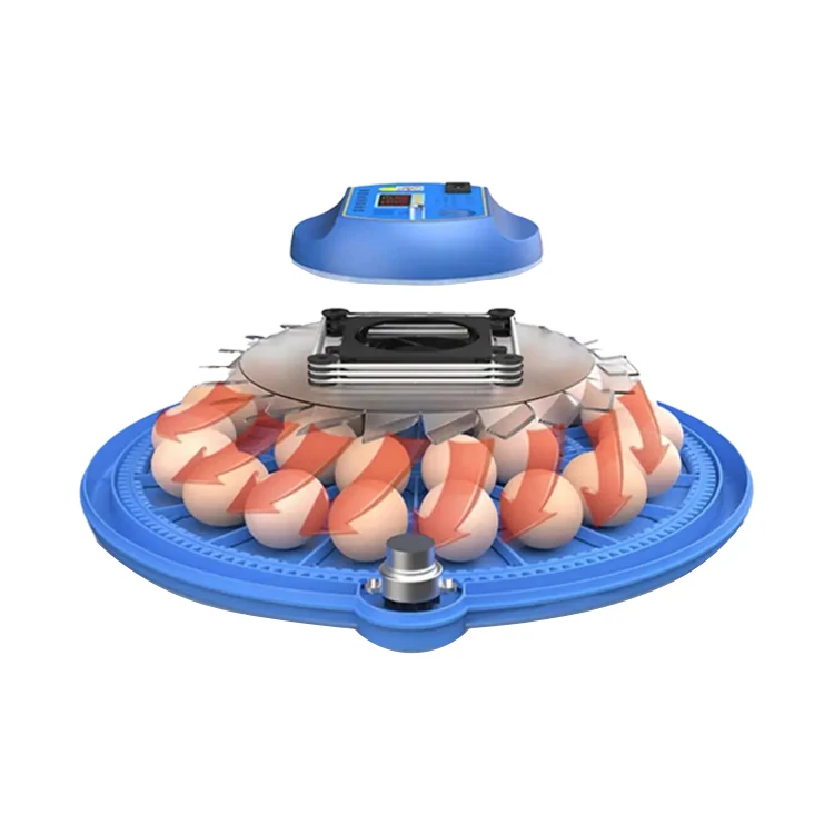 52-Egg Dual Power Automatic Incubator High Hatching Rate with Automatic Hatching Machine 220V New Condition for Chicken Farming