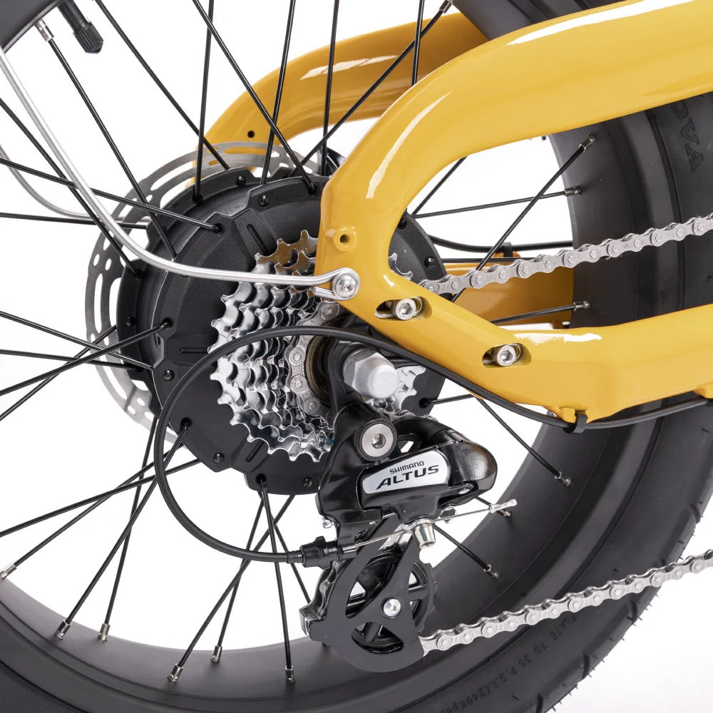 2023 Mario New Bird Hub Motor 250W Fat Tire Electric City Bike