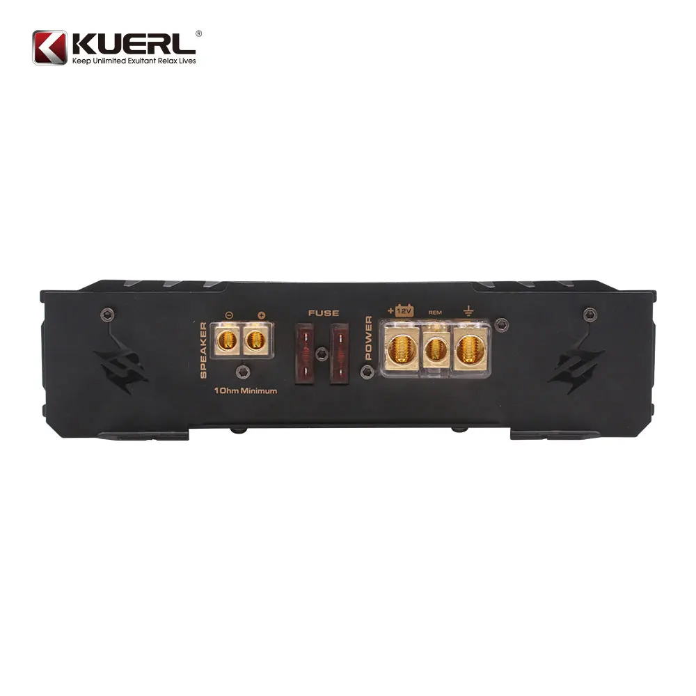 Class D monoblock amplifier 1000Wrms CAR AMPLIFIER