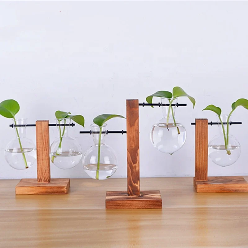 Wooden hydroponic flower standGlass vase flower petal shelflives in hydroponic plant real woodiness wall hangs flower to in
