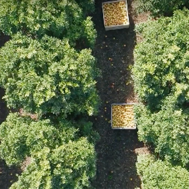 Used fabrication wholesale liquid detergent in bathroom toilet