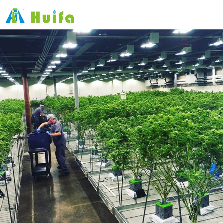 Seedbed Bench System Flood Growing Racks 4ftx8ft Grow Trays With Stand