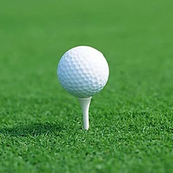 oem customize logo golf ball 2 3 4 piece USGA Urethane Tournament Golf Ball with factory price