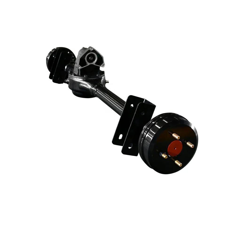 Electric vehicle bridge axle with differential
