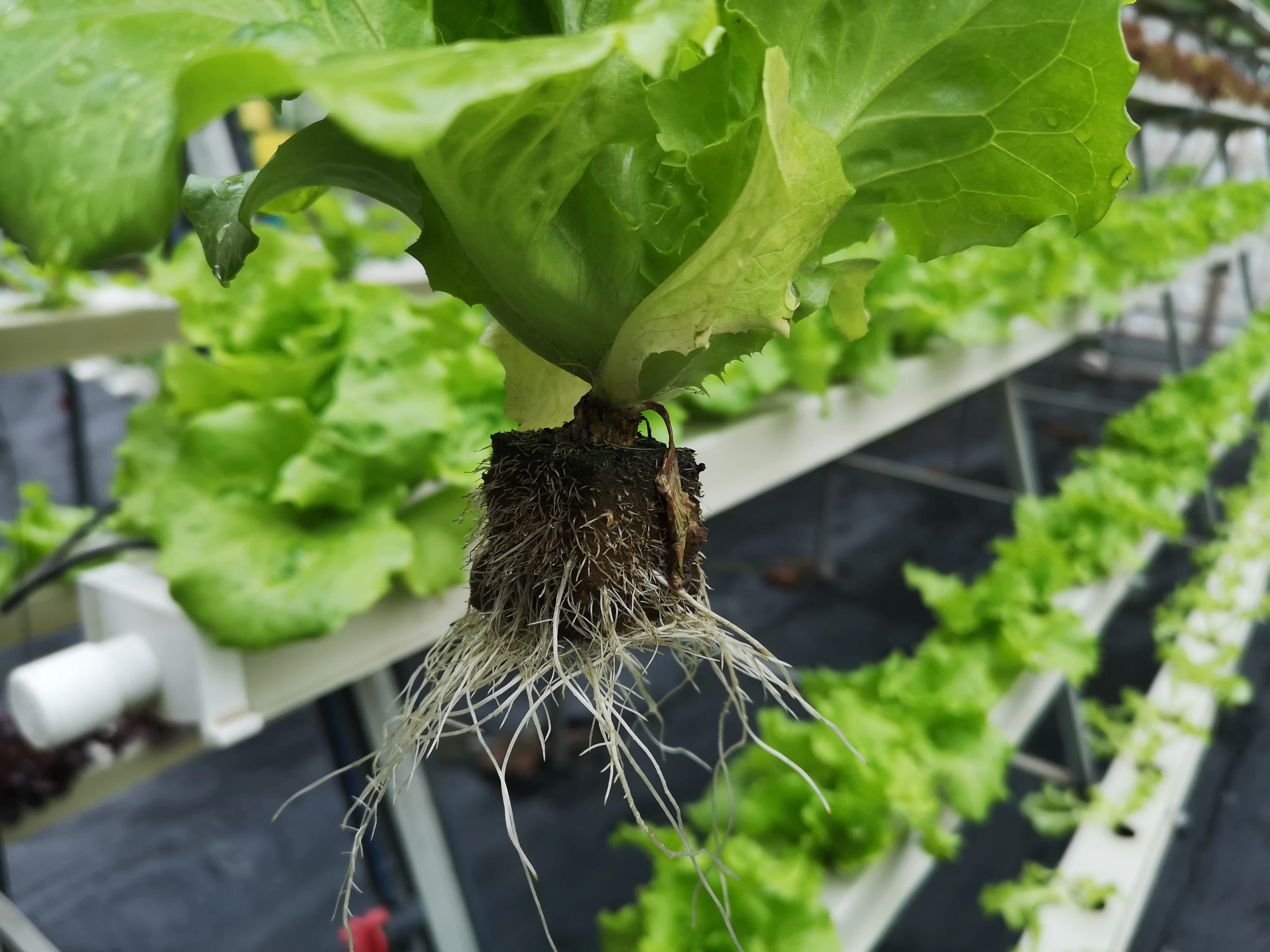 He956938a2a82446cb821f8ec7c8e4b37K