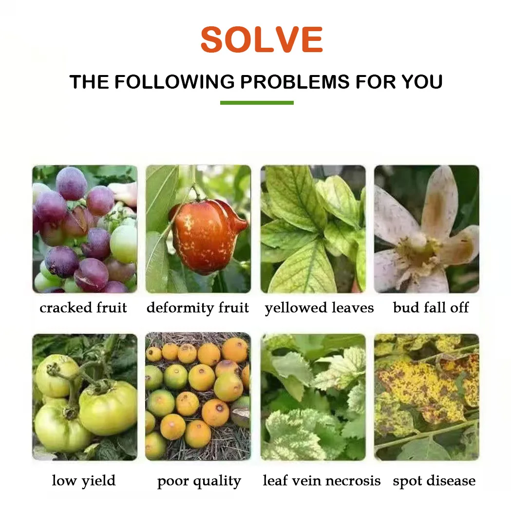 OEM logo lettuce tomato high potassium liquid npk 60 20 120 humic acid potash agricultural fertilizer for plants