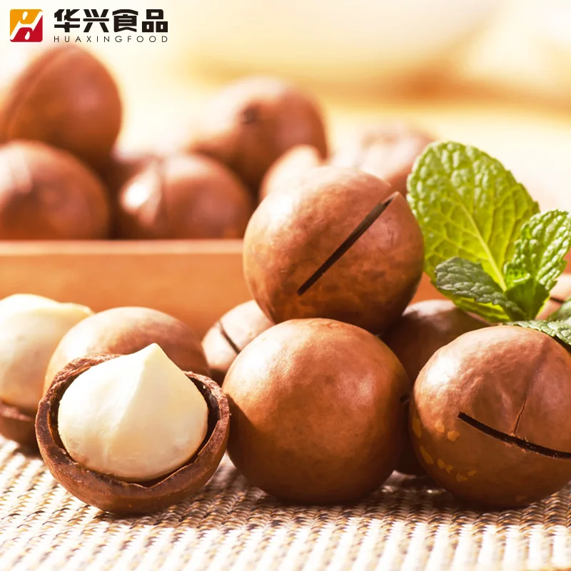 factory Nutrious Macadamia Nuts Export quality From South Africa