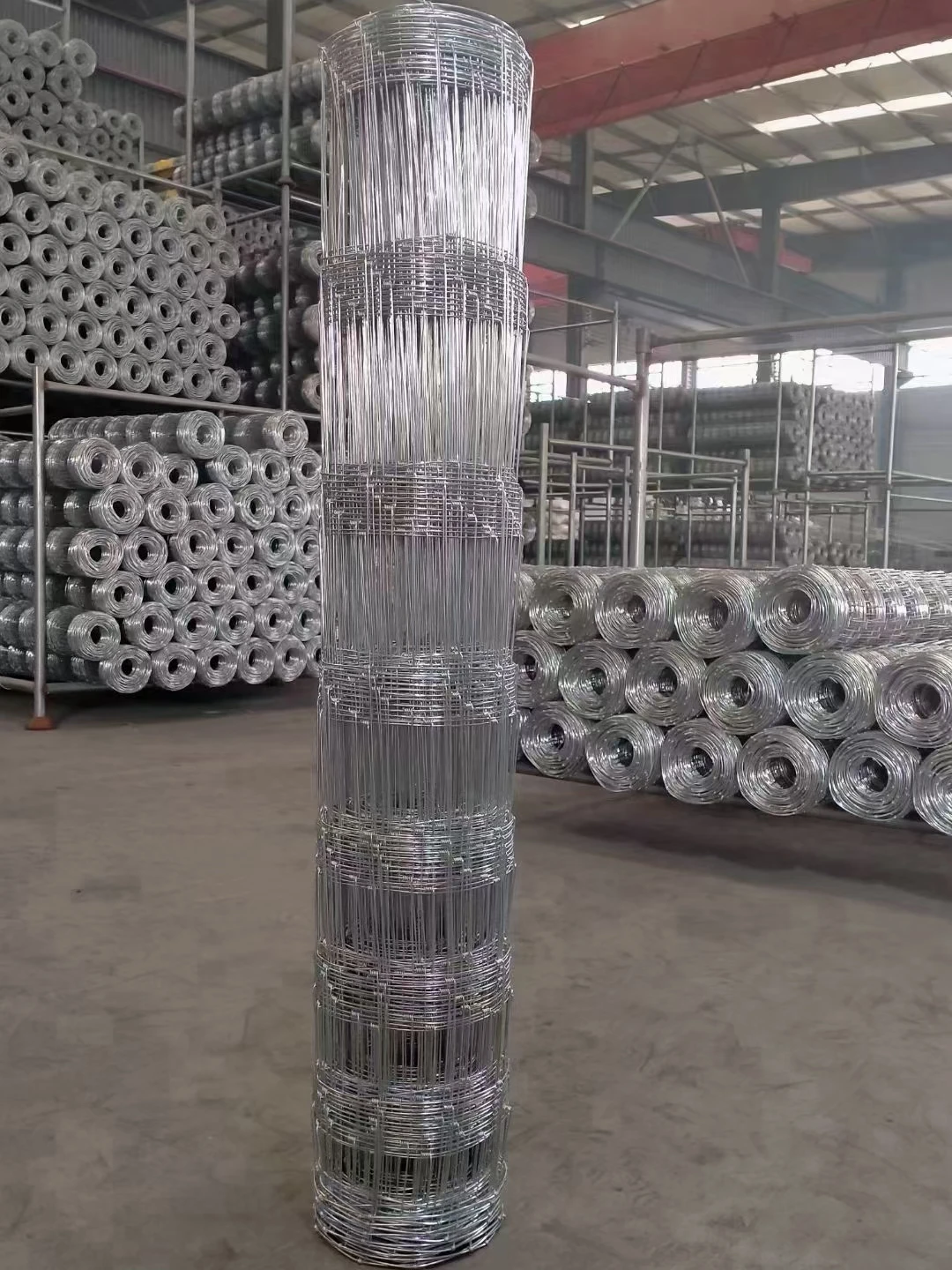 8ft height 50m length rural cattle sheep goat fixed knot deer fence