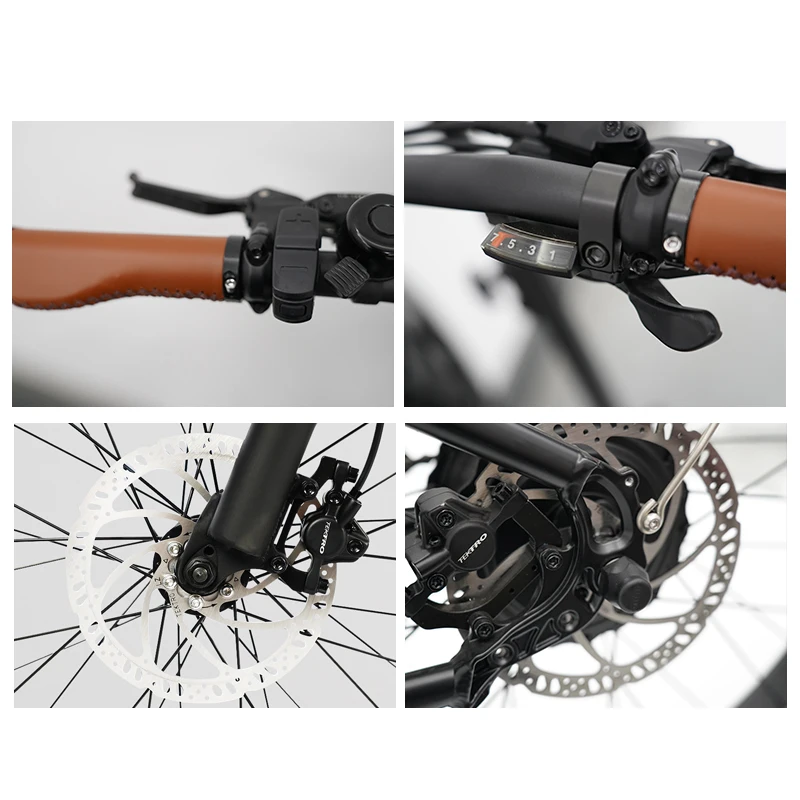 Hoya Frame 52v Fat Beach Ebike 26 Inch Electric Cruiser Bike 350W 750W Bicycle Electric Bike Hot Sale Alloy Lithium Battery 36V