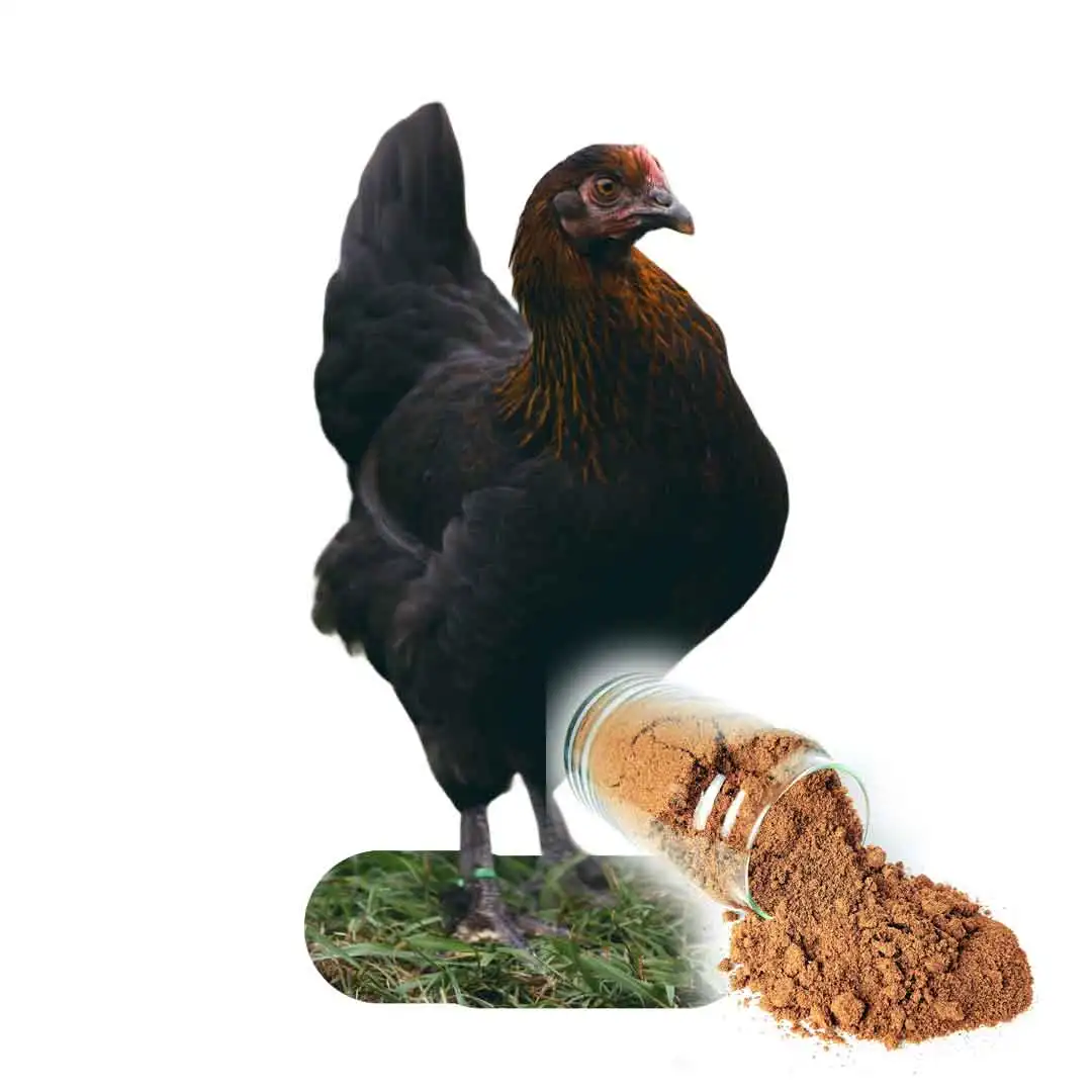 Real Nature Edible Insect Dried Dogfood Mealworm Bulk Fish Flour Chicken Food For Wholesales