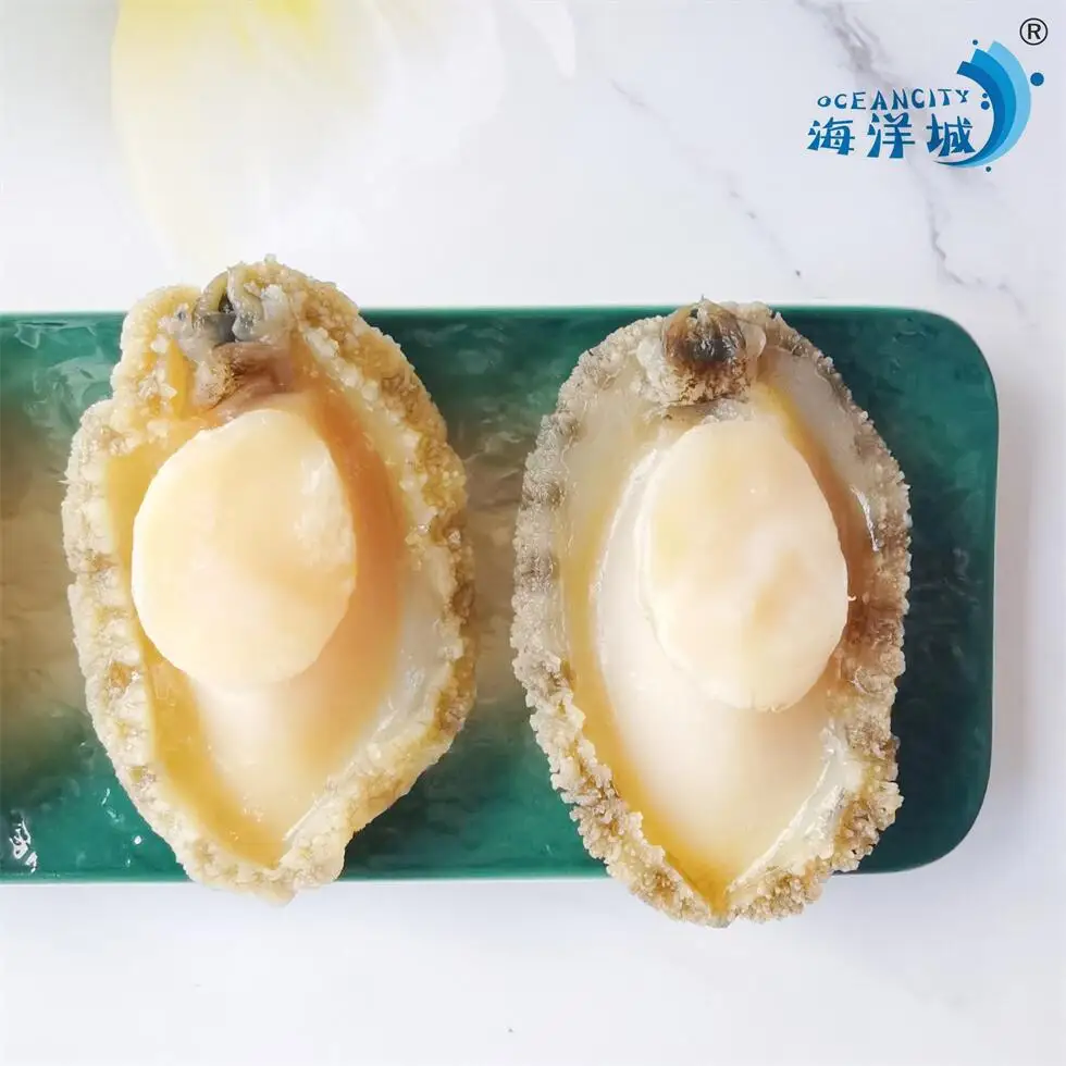 Wholesale High Quality Abalone Frozen Dried Abalone Chinese Suppliers  For Sale