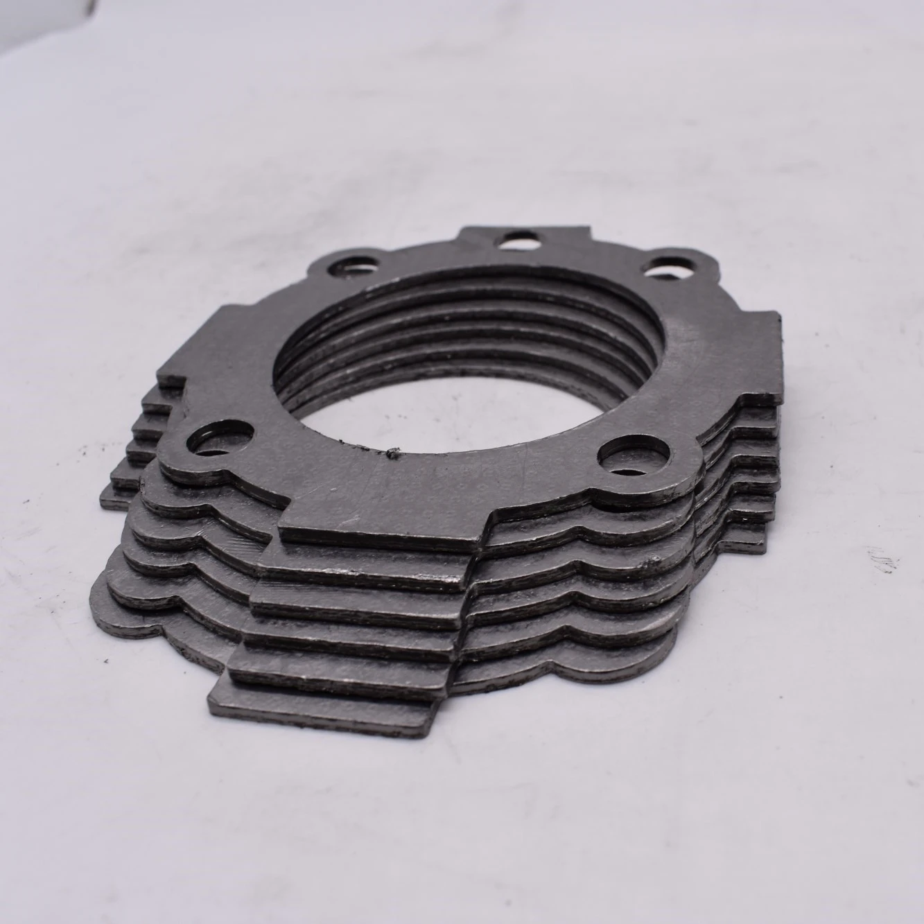 graphite steam ss gasket