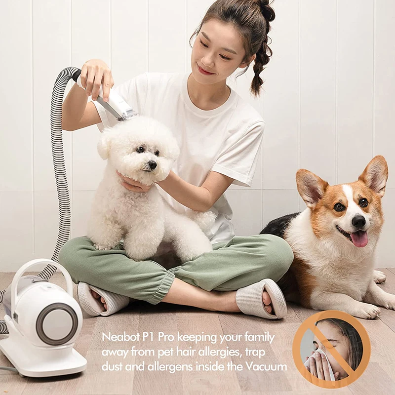 2022 P1 Pro Low Noise Dog Cat Mascotas Pet Hair Remover Pet trimmer Grooming Kit Vacuum Cleaner