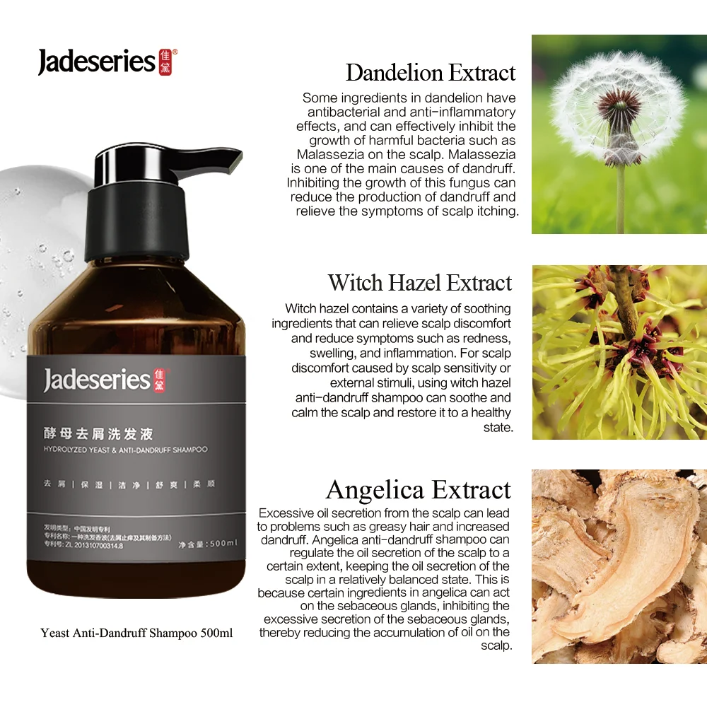 OEM/ODM custom spot natural organic private label shampoo wholesale price high quality anti-dandruff shampoo