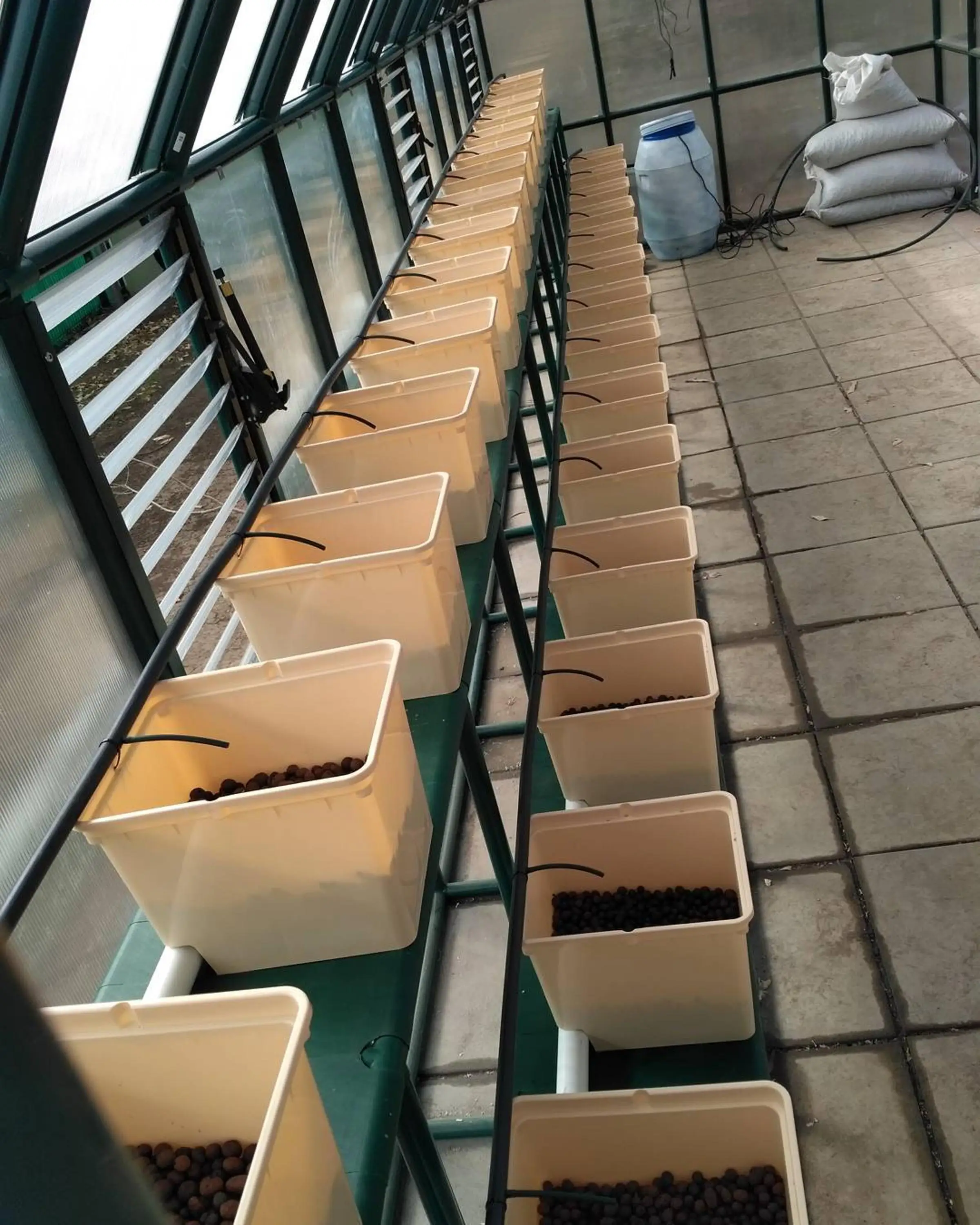 Soilless Cultivation Indoor Hydroponic Seeding Dutch Flower Bucket Dutch barrels HL planting barrels for Blueberries/pepper