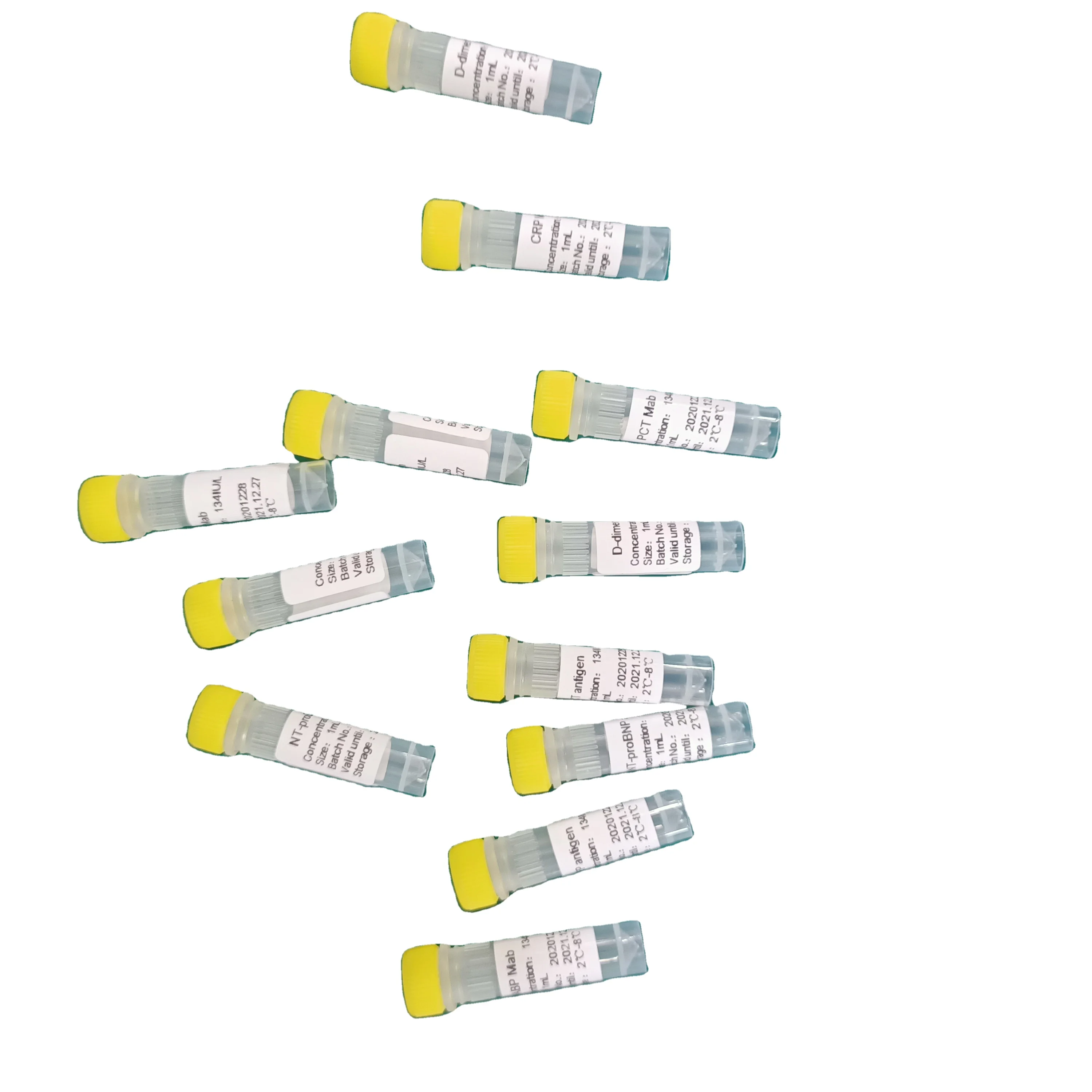 Customized sequence oligonucleotides synthesis service