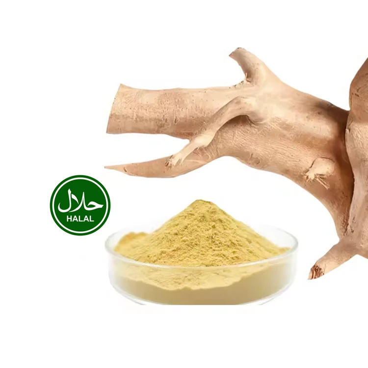 Wholesale Tongkat Ali Extract Powder for Men Health Longjack Extract Ingredient Powder Eurycoma Longifolia Herbal Powder