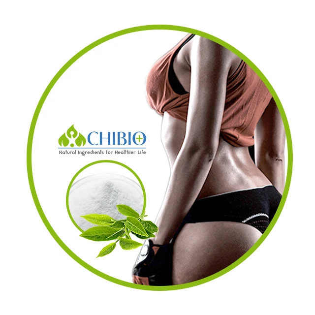 Less Bitter Natural Kucha Tea Extract Theacrine for Sports Nutrition