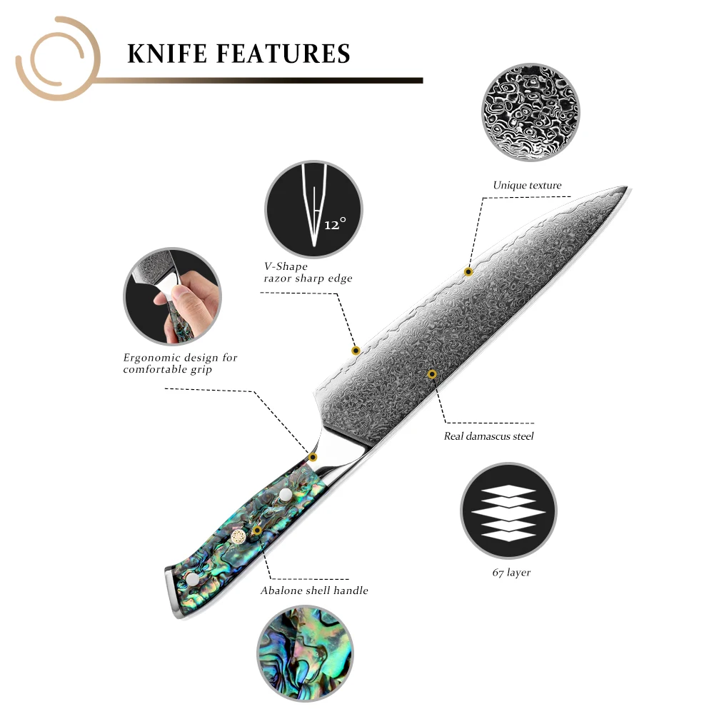 AUS10 Japanese Damascus Kitchen Knife 67 Layers High Carbon Damascus steel chef knife with abalone shell handle