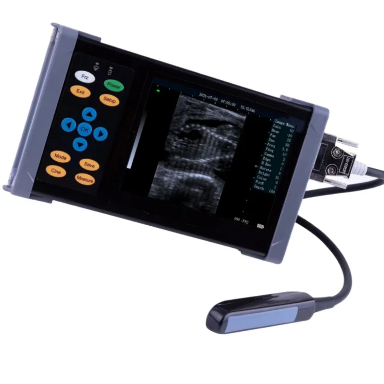 Сертифицированный Ce портативный полный цифровой режим B Ветеринарный ультразвуковой сканер цена медицинский ветеринарный аппарат