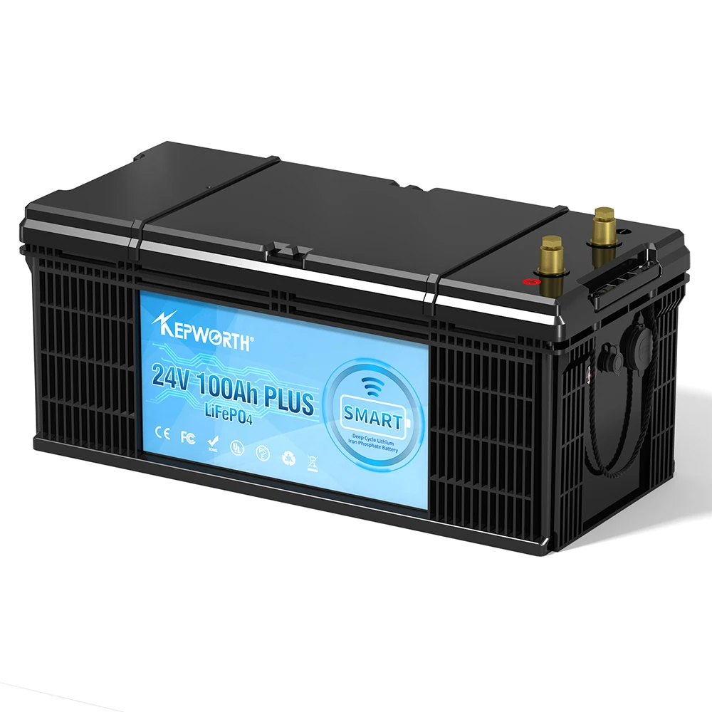 12V 24V LiFePO4 100Ah 200Ah 300Ah литий-ионный фосфатный аккумулятор для солнечной энергетической системы OEM солнечная батарея