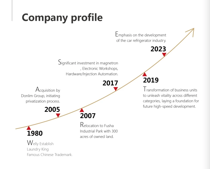 Factory Camping Refrigerators and Mini Fridge 110V DC AC 12v and Portable Compressor Car Fridge Freezer