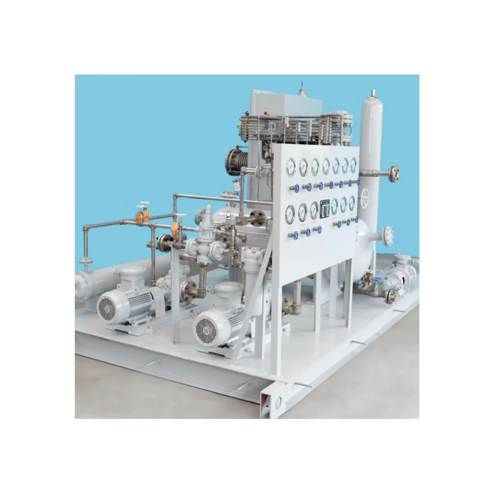 57102A PLPK Natural Gas Turbine Expander